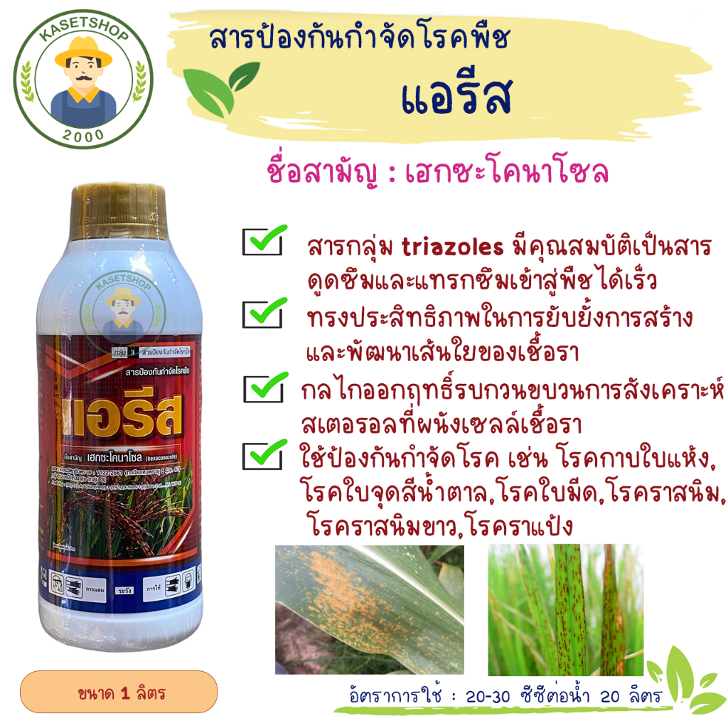 แอรีส (เฮกซะโคลนาโซล 5% SC) ขนาด 1ลิตร#ราแป้ง#แอนแทรกโนส