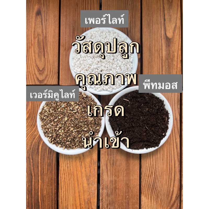 เวอร์มิคูไลท์ เพอร์ไลท์ พีทมอส แร่ธาตุ ส่วนผสมของดิน