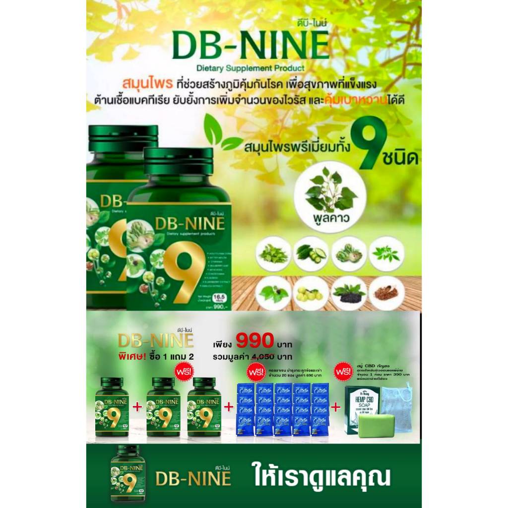 ผลิตภัณฑ์เสริมอาหาร DB-NINE