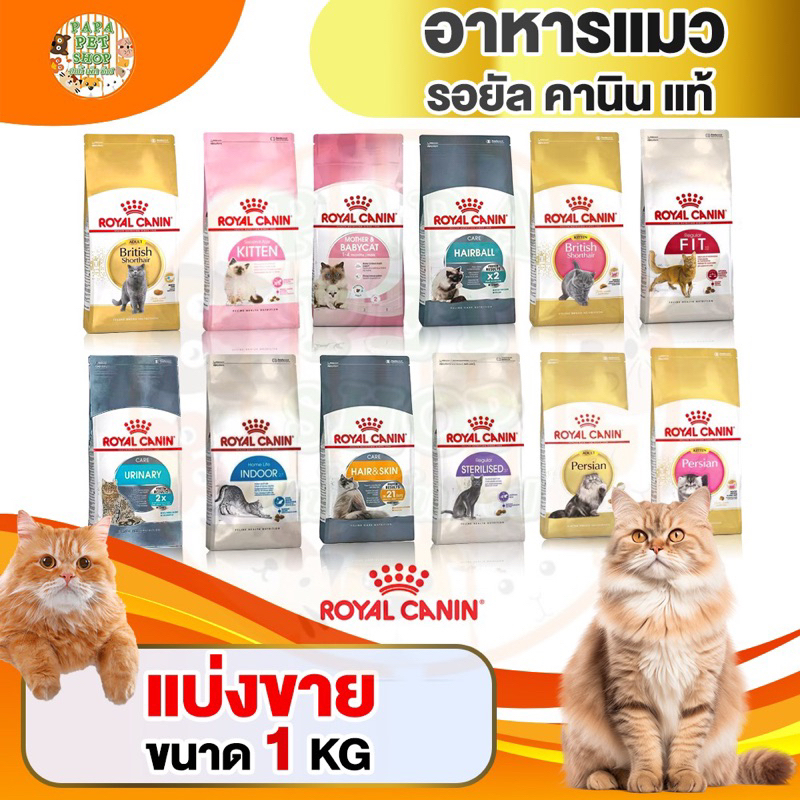 [แบ่งขาย1kg ของแท้ชัวร์] Royal Canin อาหารแมวเกรดพรีเมียม แบ่งขาย 1 กก. มีให้เลือก 13 สูตร [EXP2026]