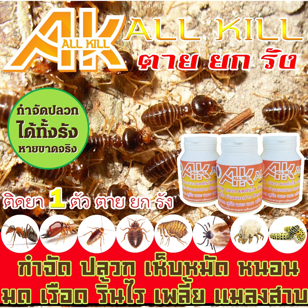 ผงโรยฆ่าปลวก ผงกำจัดมด *ติดยา 1 ตัว ตายยกรัง 100% * เห็บหมัดหมา ตัวเรือด ตัว ริ้น 🐜 ติดเชื้อตายยกรัง ได้ผล 100% 🐜