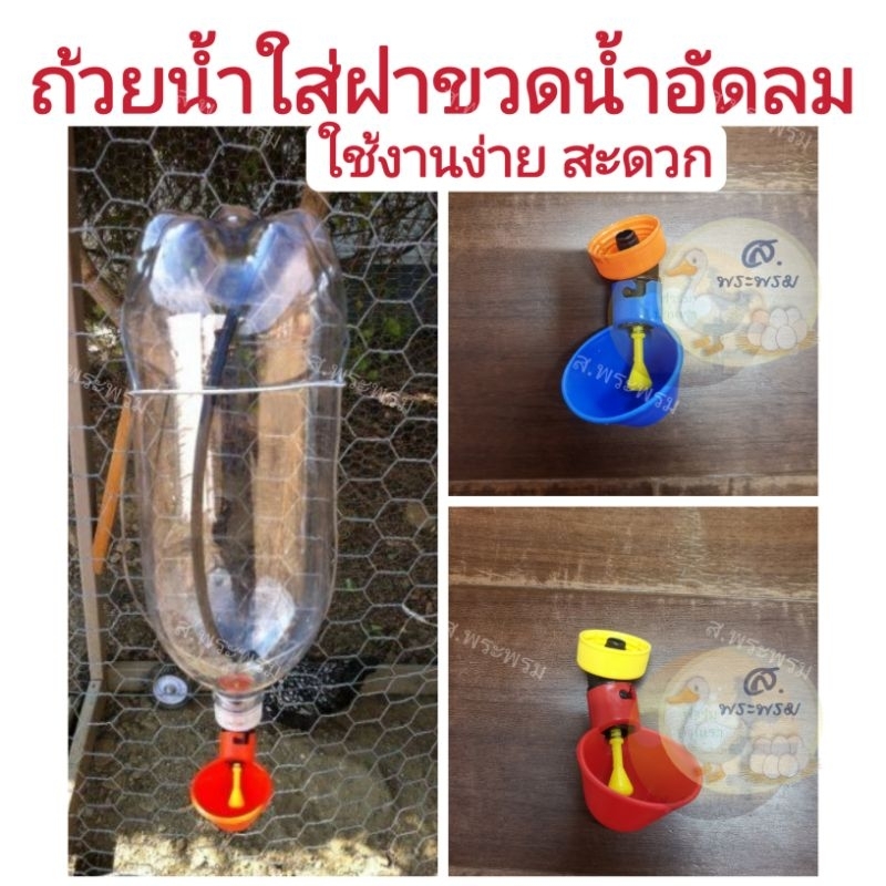 ถ้วยน้ำไก่อัตโนมัติ​+ฝา​ขวดน้ำอัดลม​ ใช้งานง่าย