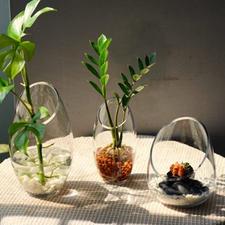 แจกันแก้วจัดดอกไม้ โหลแก้วใส โอ่งแก้วกลม แฮนด์เมด ตกแต่งบ้าน…