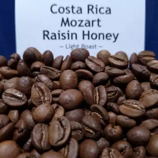 Costa Rica Mozart เมล็ดกาแฟคั่วอ่อนคอสตาริกาโมสาท