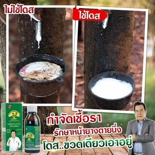 1 ขวด Dose [โดส] ฮอร์โมน อาหารเสริมพืชอินทรีย์ ปริมาณ 180 CC แก้ปัญหาหน้ายางตายนึ่ง น้ำยางไหลน้อย