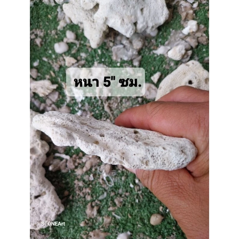 หินแผ่น size "M" ขนาด 4" นิ้ว บรรจุ 1 กก,ได้ประมาณ 4/5 แผ่น ตกแต่งตู้ปลาทะเล บำบัด พร้อมลงตู้