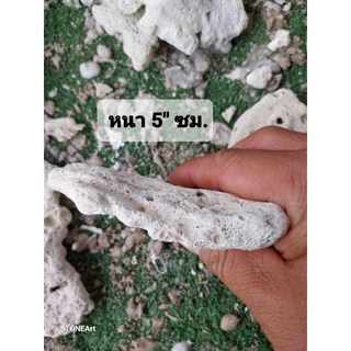 หินแผ่น size "M" ขนาด 4" นิ้ว บรรจุ 1 กก,ได้ประมาณ 4/5 แผ่น ตกแต่งตู้ปลาทะเล บำบัด พร้อมลงตู้