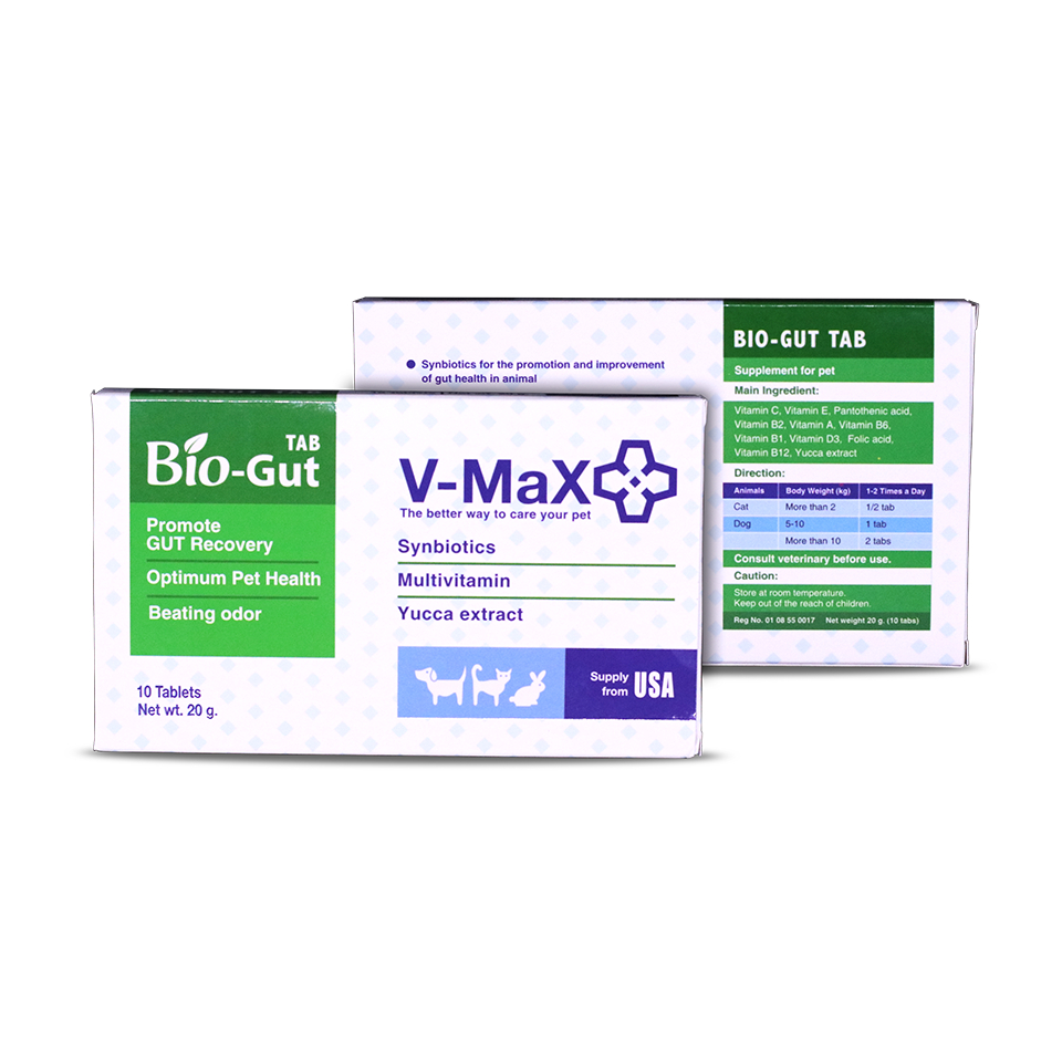 V-max Bio-Gut tab อาหารเสริม ระบบทางเดินอาหาร สำหรับสุนัขท้องเสีย ท้องผูก 10 เม็ด