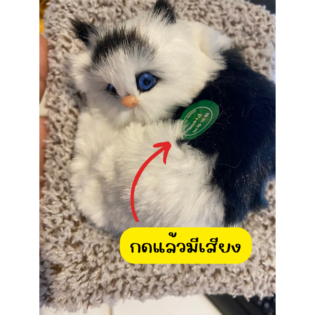 ตุ๊กตาดับกลิ่น น้องแมวนอน รุ่นมีเสียง มีหลายแบบให้เลือก ดับกลิ่นในรถ ดูดกลิ่น ตุ๊กตาแมว - รูปที่ 6