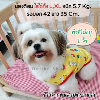 เสื้อยืดสัตว์เลี้ยง เสื้อสัตว์เลี้ยง ผ้าCotton ลายกระต่าย ลายหมี ผ้ายืดใส่สบาย ใส่นอนแอร์ได้ ส่งจากไทย T-009