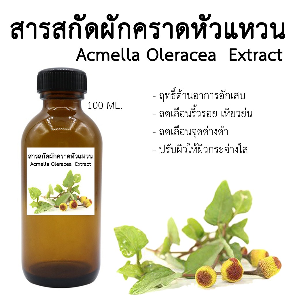 สารสกัดผักคราดหัวแหวน Acmella Oleracea Extract 100 ML.