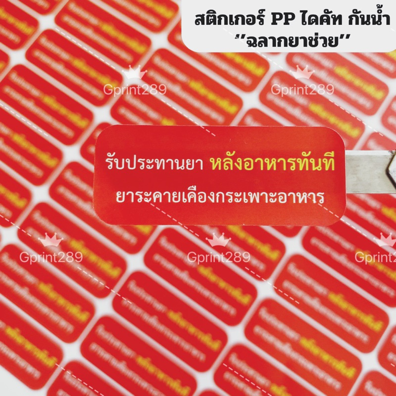ฉลากช่วยร้านยา สติ๊กเกอร์PP กันน้ำ "New"