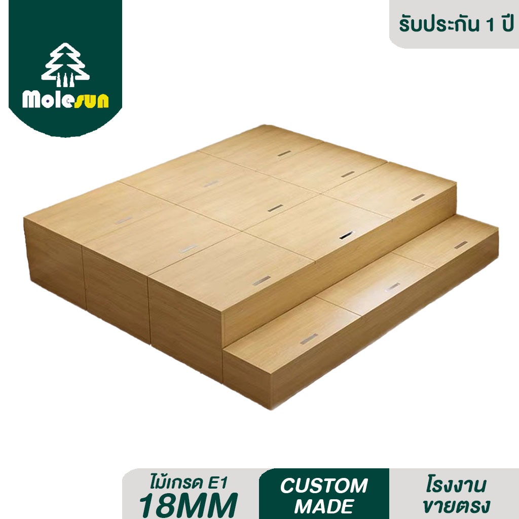MOLESUN เตียงนอน Tatami (ติดตั้งฟรี) **อ่านเนื้อหารายละเอียดสินค้า**