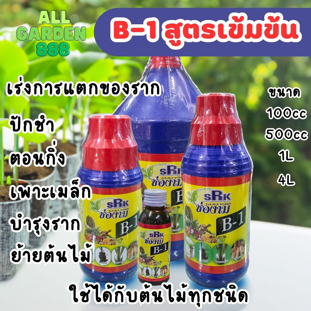 B-1 บีวัน ยาเร่งราก วินตามินบี วิตามิน B1 ฮอร์โมนเร่งราก เกรดเข้มข้นพิเศษ ขนาด 4ลิตร