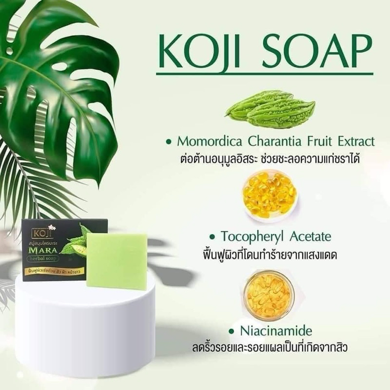 Koji Mara Herbal Soap สบู่สมุนไพรมะระ ฟื้นฟูผิวเร่งด่วน สิว ฝ้า หน้าใส