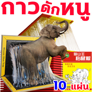 หนูสัมผัสแล้วก็หนีไม่พ้น กาวดักหนู พร้อมถาด กระดาษใหญ่ขึ้นหนาขึ้นเหนียวขึ้นหนีไม่ได้ แผ่นกาวดักหนูสำเร็จรูป กาวดักหนูแผ่