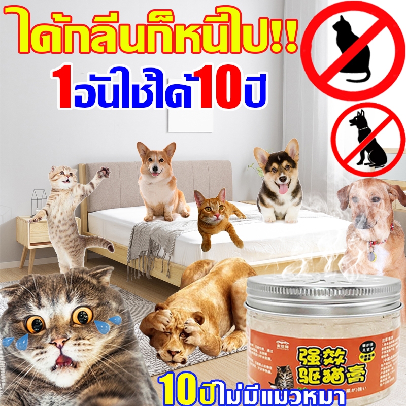 🐾10ปีไม่มีแมวหมา🐈ไล่แมว ได้กลิ่นก็หนีไป ก้อนไล่แมว ปลอดภัย ไม่เป็นอันตรายต่อมนุษย์และสัตว์ เครื่องไล่แมว กันแมวเข้าบ้าน