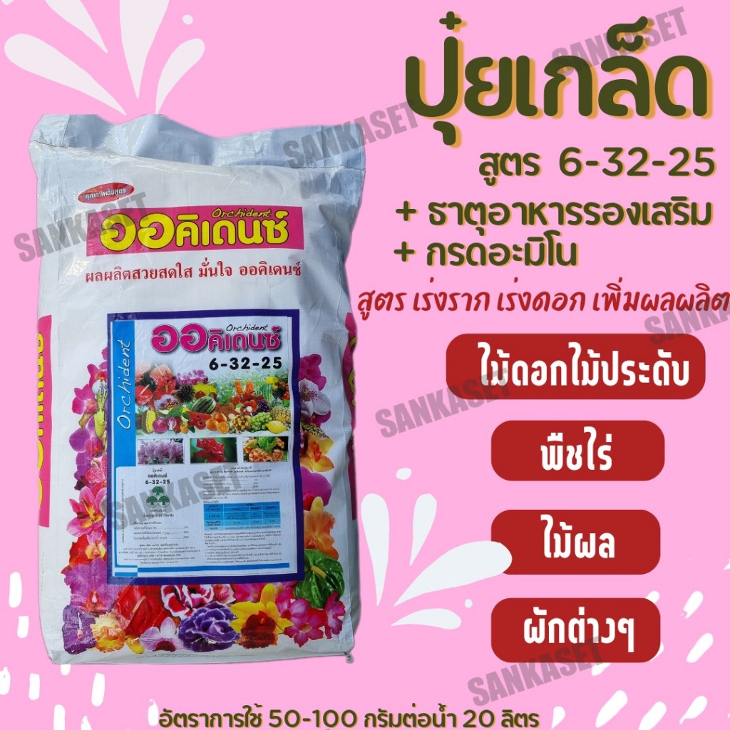 🔥ปุ๋ยเกล็ด ออคิเดนซ์ (ทางใบ/ระบบน้ำ)🔥 สูตร 6-32-25 เร่งราก เร่งดอก บำรุงผล กระสอบ 25 กิโลกรัม