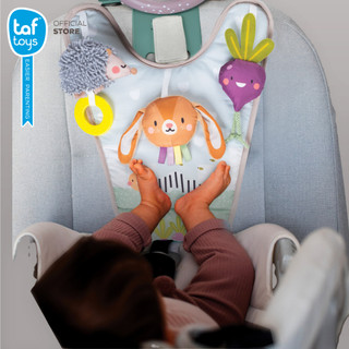 Taf Toys Urban Garden in Car Play Center – Car Seat Toy with Baby Mirror, 0m+ image 5