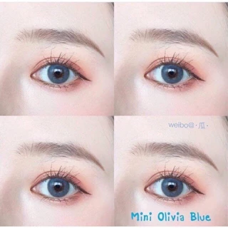 คอนแทคเลนส์ Mini Olivia Green / Black / Blue (Kitty Kawaii) ขนาดมินิ 💖 มีทุกค่าสายตา✨