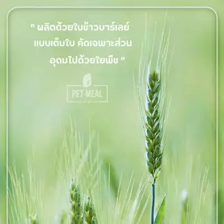 PET MEAL ลดการสำลักขน ช่วยขับขนในลำคอ ลำไส้ ขจัดก้อนขน ผสมอกไก่แท้โปรตีนสูง ขนมแมว Cat grass freeze dried