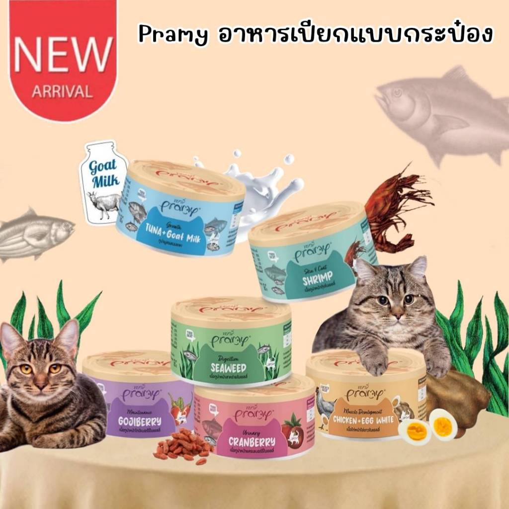 CatHoliday พรามี่ อาหารเปียก แบบกระป๋อง Pramy Canned อาหารกระป๋องสำหรับแมว ขนาด 80g