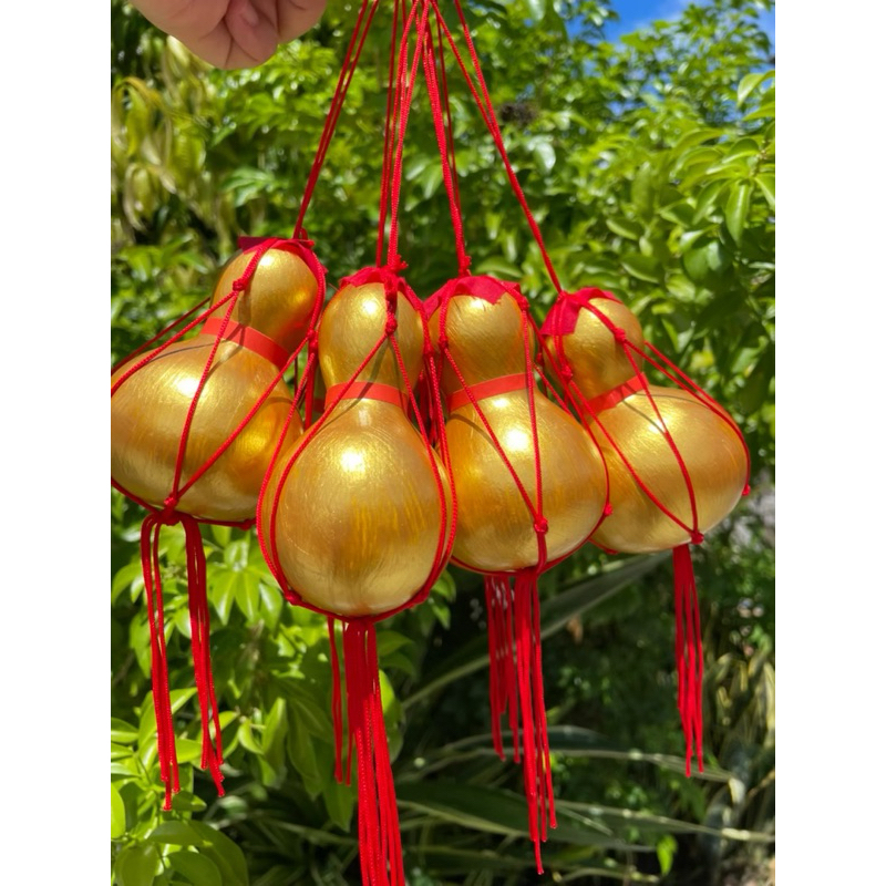 น้ำเต้าทอง น้ำเต้าเงิน แท้จากธรรมชาติ - รูปที่ 4