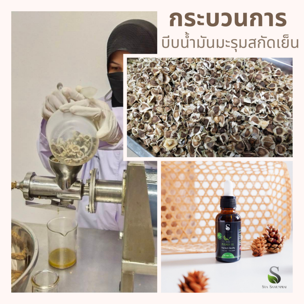 น้ำมันมะรุมสกัดเย็น ออแกนิค วิตามิน c และ e 30 ml Organic รูปที่ 2