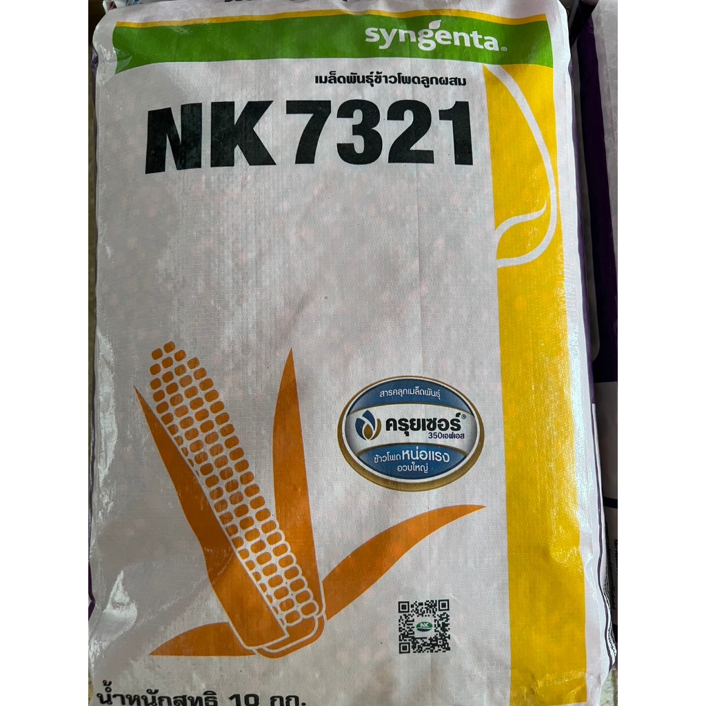 เมล็ดพันธุ์ข้าวโพด NK 7321 เมล็ดกลาง