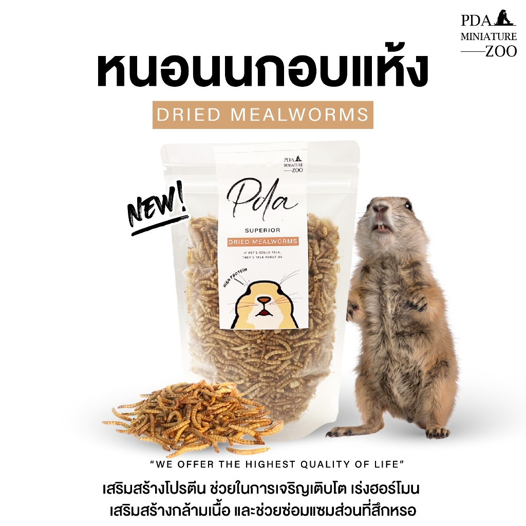 หนอนนกอบแห้ง หนอนอบแห้ง Dried Mealworms superior สำหรับแพรี่ด็อก กระรอก ชูการ์ไกลเดอร์ บุชเบบี้