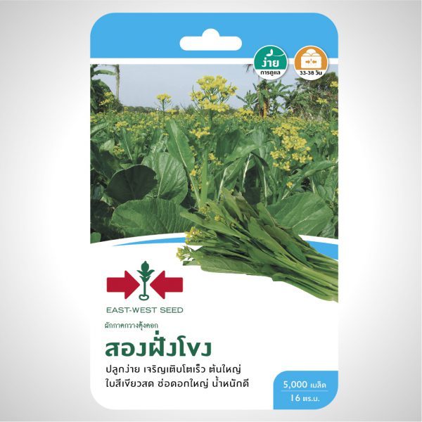 ผักกาดกวางตุ้งดอก สองฝั่งโขง 5000เมล็ด ศรแดง