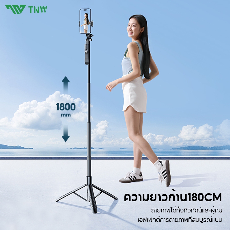 รูปภาพ 8