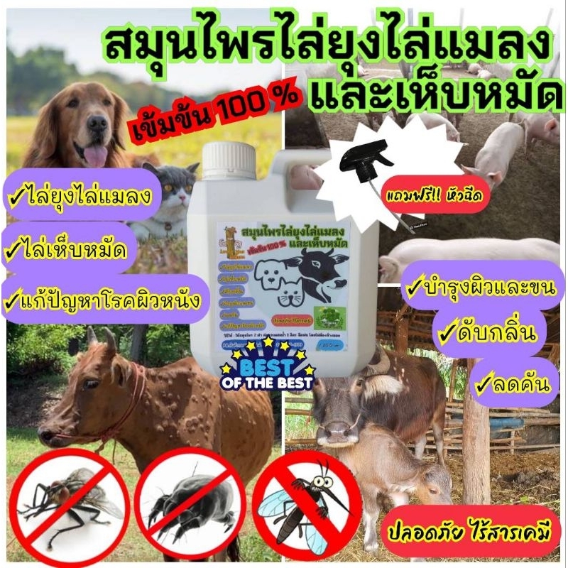 แกลลอน 1,200 ml.สมุนไพรไล่ยุงไล่แมลงและเห็บหมัด "ลัคกี้แมน"(ฟรีหัวฉีด)ไล่ยุง ไล่แมลง ไล่เห็บหมัด ดับกลิ่น