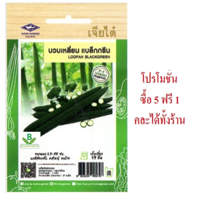 5 แถม 1 คละได้ ทั้งร้าน เมล็ดพันธุ์ บวบเหลี่ยม แบล็คกรีน เจียไต๋ เมล็ดพันธุ์คัดพิเศษ F1 ความงอกสูง ปลูกง่าย โตไว