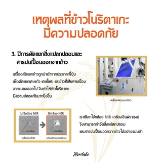 ข้าวญี่ปุ่นโคชิฮิคาริ 5 kg (Koshihikari) ตรา Noritake