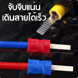 [50 ตัว] DBV หางปลา DBV หางปลาตรง หางปลาย้ำสายแบบตรง