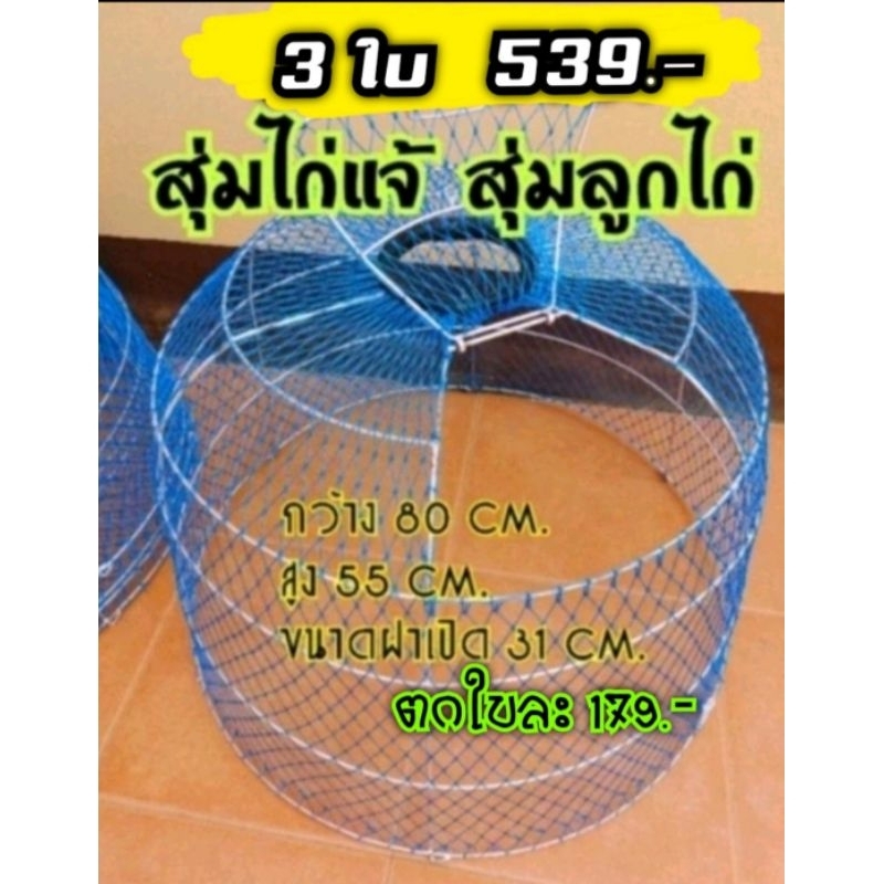 #สุ่มไก่แจ้3ใบ #สุ่มลูกไก่ #สุ่มไก่ชน #สุ่มจิ๋วเปิดฝาได้ พับไม่ได้