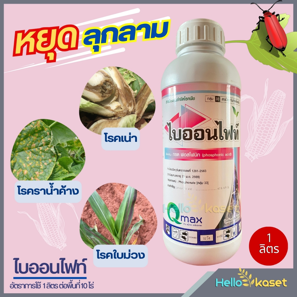 ไบออนไฟท์ สารป้องกันกำจัดโรคพืช โรคต้นเน่า โรคเน่า ขนาด 1 ลิตร หยุดการลุกลามของเชื้อรา