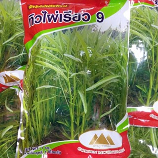 ***** เมล็ดผักบุ้งจีนใบไผ่ ตราภูเขาทอง ขนาด 1 กิโลกรัม *****