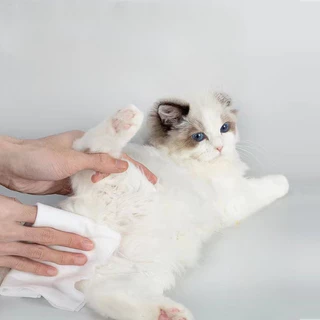 [พร้อมส่ง]ทิชชู่เปียก Pet wipes 80 แผ่น ผ้าเช็ดตาและหูสัตว์เลี้ยง สำหรับเช็ดสัต ว์เลี้ยง ทิชชู่เปียก ทิชชู่หมา