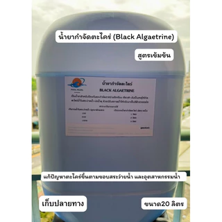 น้ำยากำจัดตะไคร่น้ำ สูตรเข้มข้น ปรับสภาพน้ำใสสีฟ้าสวย 20 ลิตร ช่วยกำจัดสาหร่ายสีเหลืองเขียว POOL BLACK ALGAETRINE