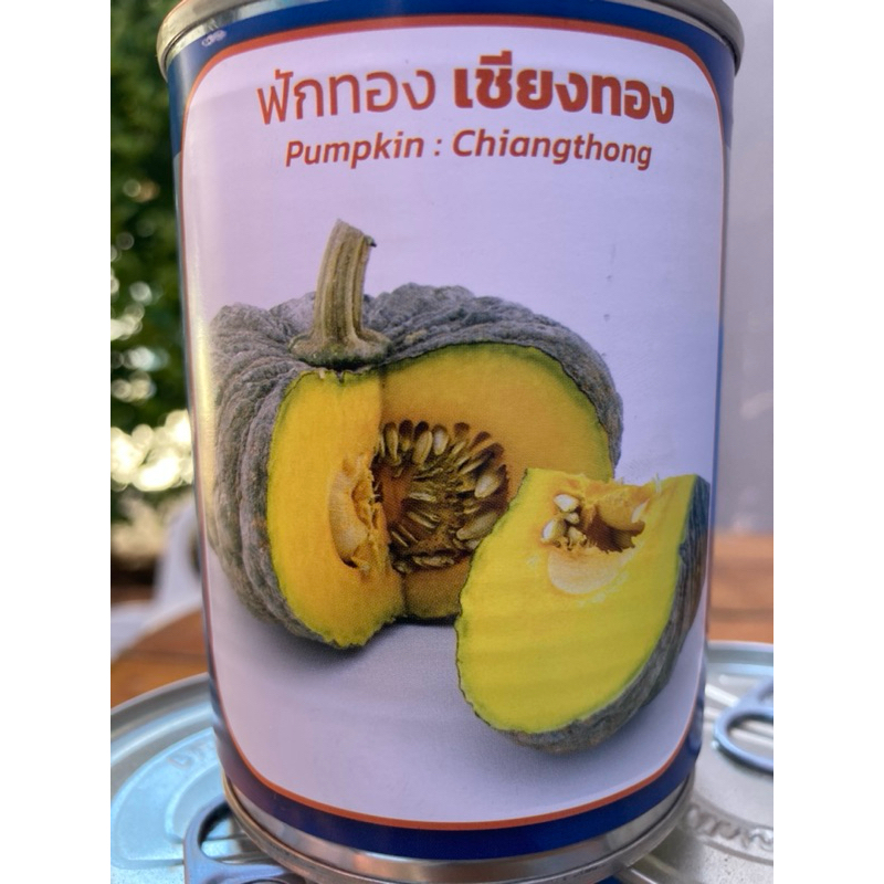 ฟักทอง🔥 เชียงทอง🔥  เนื้อสีทอง 🔥 ผิวขรุขระ 🔥 ลูำกใหญ่ ๆๆๆๆ 🔥สิ้นอายุทำพันธุ์   06 / 69🔥 - รูปที่ 3