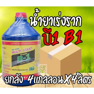 //ยกลัง4แกลลอน// B-1 บีวัน ขนาด ถัง4ลิตร ฝาแดงฉลากไทย คุ้มB-1ยาเร่งราก B1 บี1 บี-1 นำ้ยาเร่งราก บีวัน