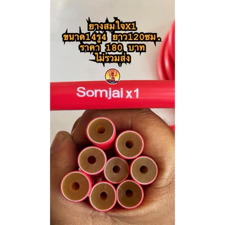 ยางสมใจเอ๊กซ์หนึ่งขนาด12,13,14,15มิลยาว120ซม.