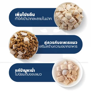 PETBABYS😸🐶อกไก่ฟรีซดราย ฟรีซดรายแมว ขนมแมวฟรีซดราย Freeze Dried Chicken Breast ขนมแมว อกไก่เต๋า มีโปรตีนสูง