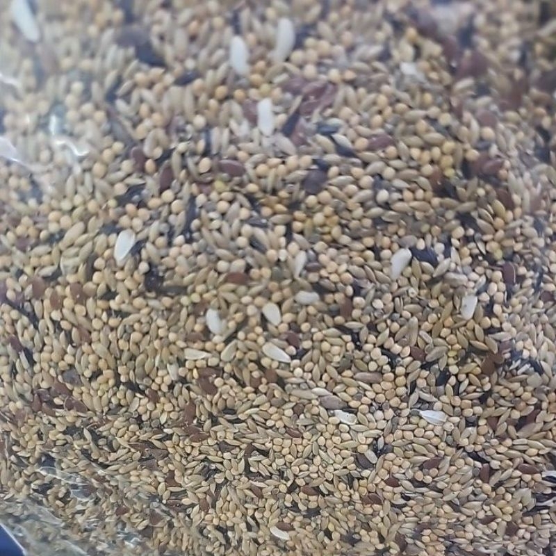 Parrorlet Forpus ธัญพืชสูตรสำหรับนกฟอพัส Repack 1 kg by Farmland