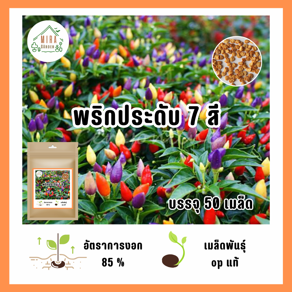 เมล็ดพันธุ์ พริกประดับ 7 สี บรรจุ 50 เมล็ด