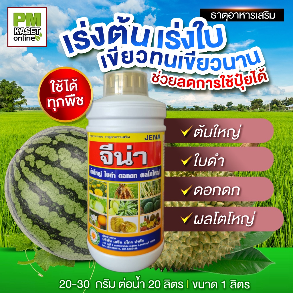 จีน่า ธาตุอาหารเสริมพืชทุกชนิด(สูตรพิเศษ) เร่งต้น เร่งใบ เขียวทนเขียวนาน ผลโตใหญ่ ดอกดก ต้นใหญ่ ขนาด 1 ลิตร