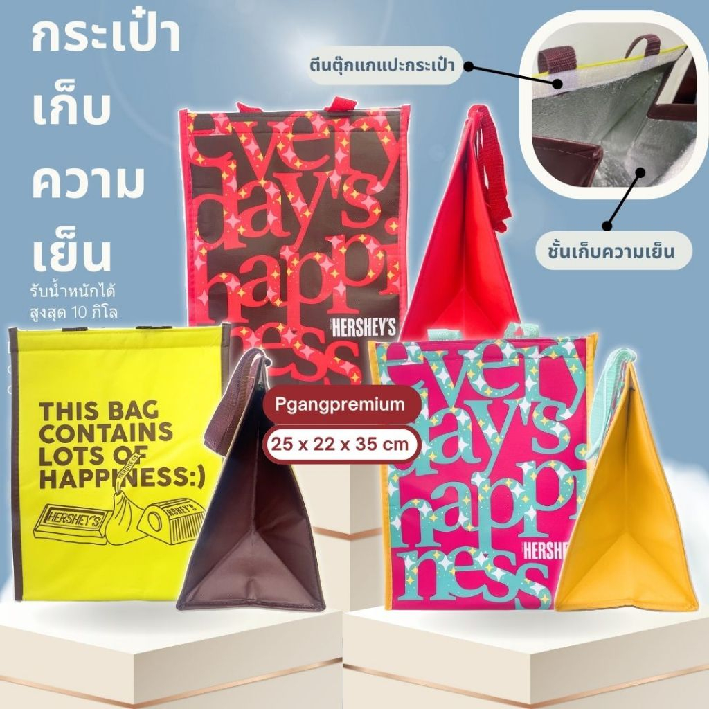 กระเป๋าเก็บอุณภูมิ เย็น/ร้อน เฮอร์ซีส์ Hersheys' สำหรับปิคนิค เก็บเครื่องดื่ม อาหาร และอื่นๆ