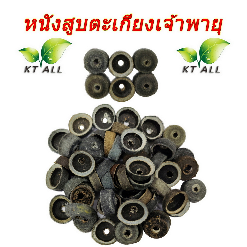 ตะเกียงเจ้าพายุ: หนังสูบตะเกียงเจ้าพายุ (แพ็คละ 6 ชิ้น / 12 ชิ้น) หนังแท้ ทนความร้อน ทนน้ำมัน อายุการใฃ้งานยาวนาน